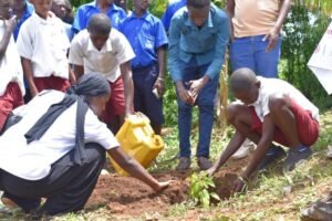 Green Roots – Reclaiming Our Environment, One Tree at a Time