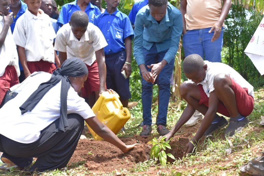 Green Roots – Reclaiming Our Environment, One Tree at a Time