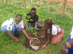Rotary activities in iganga